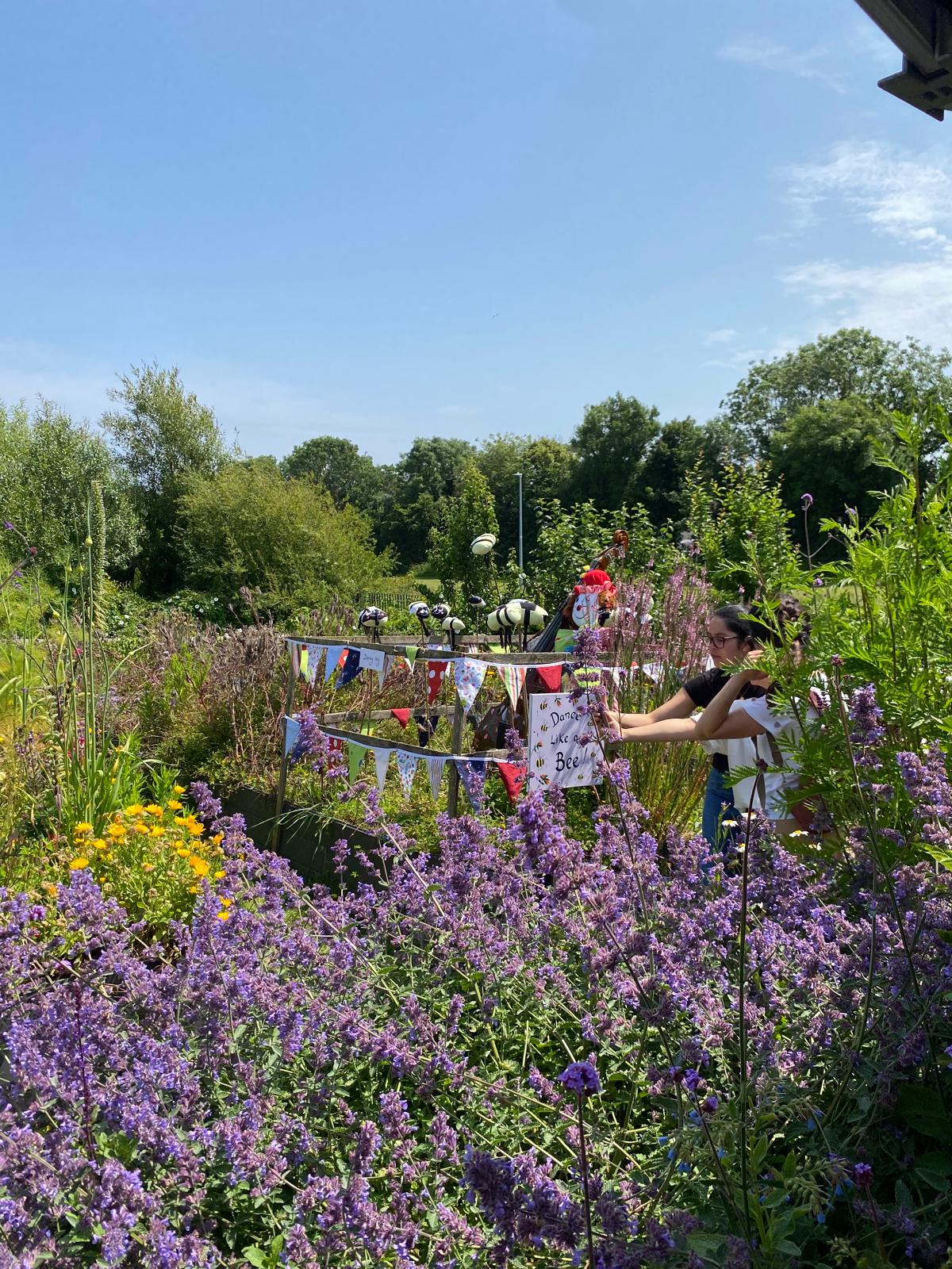 Skerries Mills Community Garden - Community Spaces